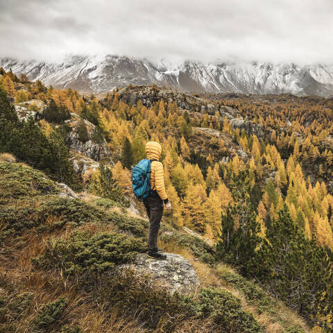 Wanderer steht und blickt über eine Hochebene im Herbst, Sondrio, Italien, lizenzfreies Stockfoto