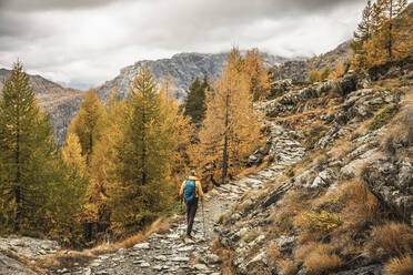 Wanderer auf einer Hochebene im Herbst, Sondrio, Italien - MCVF00072