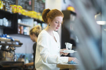 Young woman working in coffee shop - SGF02435