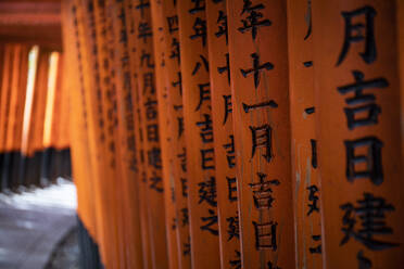 Japan, Präfektur Kyoto, Stadt Kyoto, Kanji auf Torii-Toren, die zum Tempel Fushimi Inari-taisha führen - ABZF02776