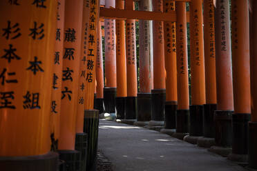 Japan, Präfektur Kyoto, Stadt Kyoto, Torii-Pfad des Fushimi-Inari-Taisha-Tempels - ABZF02779