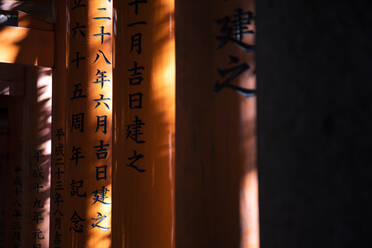 Japan, Präfektur Kyoto, Stadt Kyoto, Kanji auf Torii-Toren, die zum Tempel Fushimi Inari-taisha führen - ABZF02784