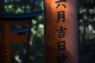 Japan, Präfektur Kyoto, Stadt Kyoto, Kanji auf Torii-Toren, die zum Tempel Fushimi Inari-taisha führen - ABZF02785