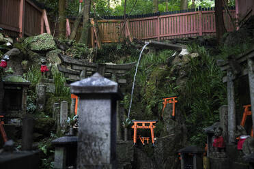 Japan, Präfektur Kyoto, Stadt Kyoto, Opfergaben im Fushimi-Inari-Taisha-Tempel - ABZF02789
