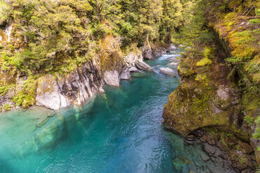Makarora River, Südinsel, Neuseeland - SMAF01621
