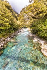 Fluss, Fiordland-Nationalpark, Südinsel, Neuseeland - SMAF01663