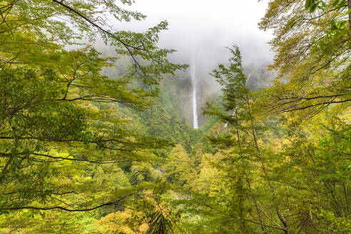 Humboldt Falls, Fiordland National Park, Südinsel, Neuseeland - SMAF01678