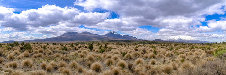 Tongariro National Park, South Island, New Zealand - SMAF01696