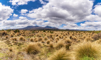 Tongariro National Park, South Island, New Zealand - SMAF01697