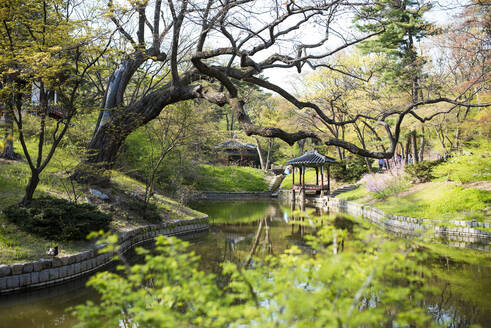 Pagode im Geheimen Garten des Changdeokgung-Palastes, Seoul, Südkorea - GEMF03263