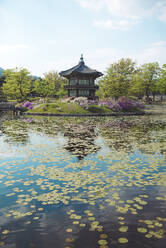 Blick auf Teich und Pagode, Gyeongbokgung, Seoul, Südkorea - GEMF03266