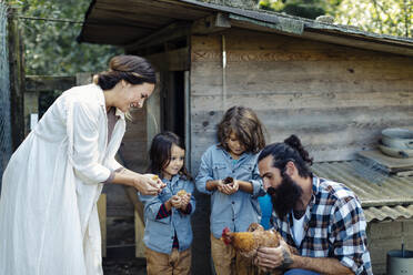 Family with two kids holding chicken and chicks on an organic farm - SODF00294