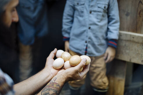 Vater mit zwei Kindern beim Eiersammeln im Hühnerstall auf einem Biohof - SODF00298