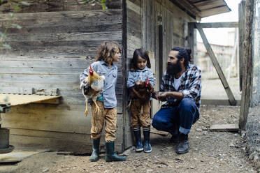 Father with two kids in chicken coop on an organic farm - SODF00308