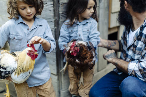 Vater mit zwei Kindern im Hühnerstall auf einem Biohof - SODF00309