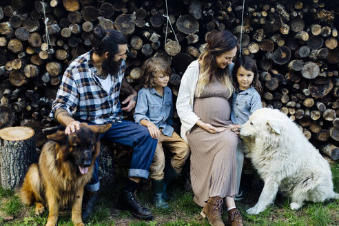 Familie mit zwei Hunden entspannt am Holzstapel - SODF00316