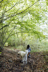 Rückansicht eines Kindes mit Hund im Wald - SODF00320