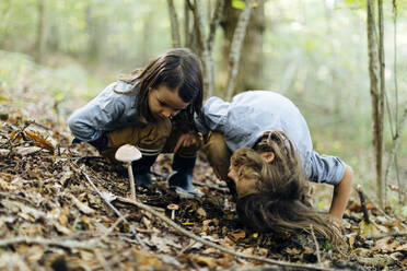 Zwei Kinder untersuchen einen Pilz im Wald - SODF00322