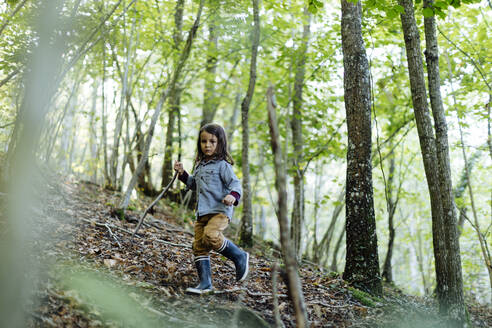 Kind beim Spaziergang im Wald - SODF00323