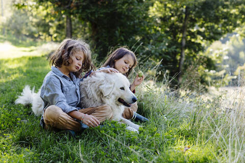 Two kids relaxing with dog on a meadow stock photo