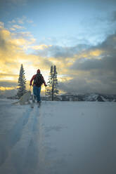 Rear view of man with dog skiing on snow covered field - CAVF68276