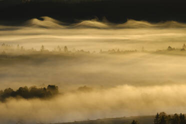 Germany, Bavaria, Aerial view of thick morning fog shrouding forest in Isarauen nature reserve - SIEF09278