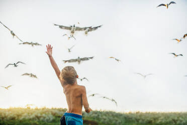 Rear view of shirtless boy looking at seagulls flying while standing at grassy field - CAVF68374