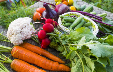 High angle view of vegetables for sale in market - CAVF68440