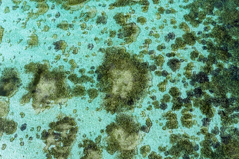 Malediven, Süd-Male-Atoll, Luftaufnahme eines Korallenriffs, lizenzfreies Stockfoto