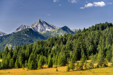 Österreich, Tirol, Blick auf das Tannheimer Tal in den Allgäuer Alpen - STSF02325