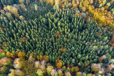 Deutschland, Baden-Württemberg, Luftaufnahme des Schwäbisch-Fränkischen Waldes im Herbst - STSF02341