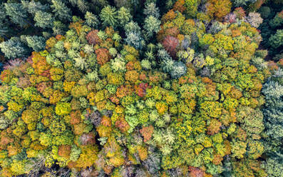 Deutschland, Baden-Württemberg, Luftaufnahme des Schwäbisch-Fränkischen Waldes im Herbst - STSF02342