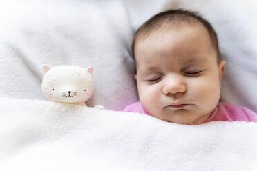 Portrait of sleeping baby girl with cat toy - GEMF03285