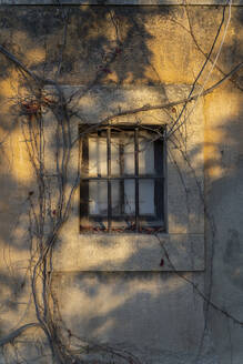 Hausfassade mit vergittertem Fenster im Herbst - AFVF04159