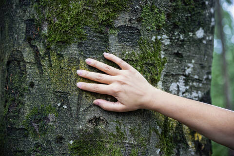 Weibliche Hand berührt einen Baum, lizenzfreies Stockfoto