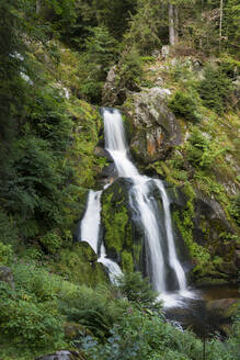 Triberger Wasserfälle, Triberg, Deutschland - XCF00293