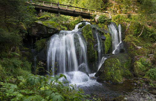 Triberger Wasserfälle, Triberg, Deutschland - XCF00294