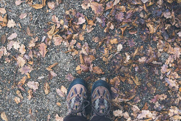 Italien, Verona, Stiefel auf Blättern im Herbst - GIOF07591