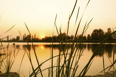 Italien, Emilia Romagna, Fluss Po bei Sonnenuntergang - GIOF07593