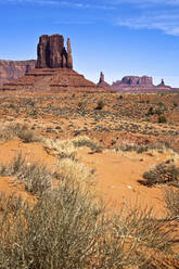 USA, Arizona, Sträucher vor dem Mittens Butte im Monument Valley - GIOF07614