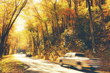 USA, Tennessee, Autos fahren auf der Straße durch den Herbstwald in den Great Smoky Mountains - GIOF07639