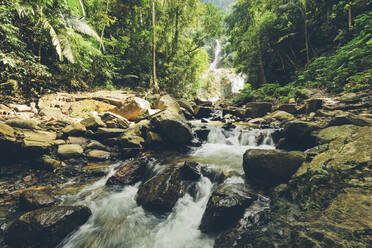 Thailand, Waldbach, der zwischen Felsen fließt - GIOF07645