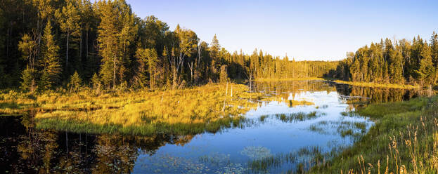 Kanada, Ontario, Panorama des Sees im Algonquin Provincial Park - GIOF07646