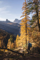 Hiker enjoying Dolomites in autumn, Veneto, Italy - MCVF00083