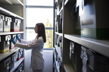 Side view of woman in white robe putting box with samples on shelf in lab storage - ABZF02810