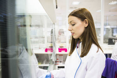 Seitenansicht einer Wissenschaftlerin in weißer Kleidung bei der Arbeit in einem modernen Labor - ABZF02814