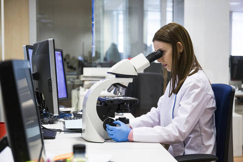 Young woman examining samples with microscope while working in modern laboratory - ABZF02830