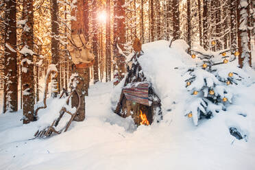 Austria, Salzburg, Altenmarkt-Zauchensee, Simple Christmas tree in front of snow-covered forest hut at sunset - HHF05571