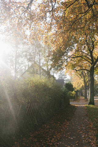 Wohngegend im Herbst, Berlin, Deutschland, lizenzfreies Stockfoto