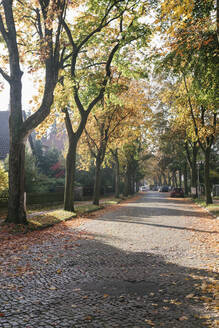 Wohngegend im Herbst, Berlin, Deutschland - AHSF01103